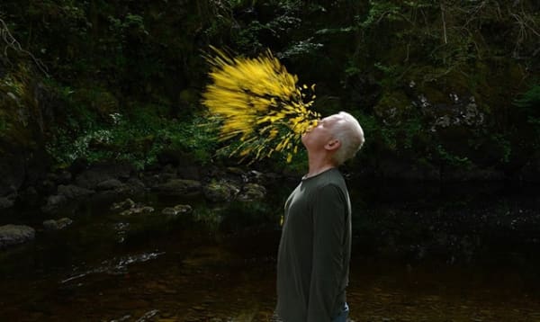 Andy Goldsworthy