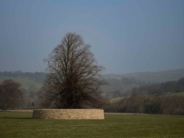 Andy Goldsworthy