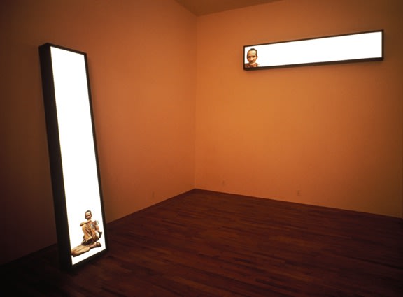 Alfredo Jaar