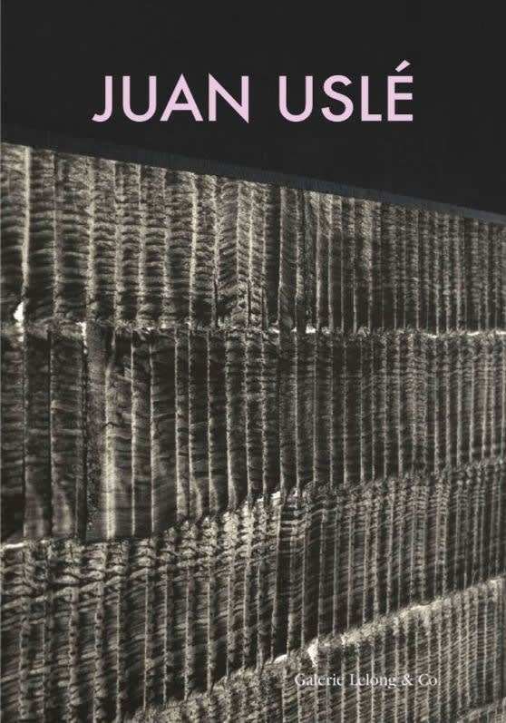 Juan Uslé: La noche se agita