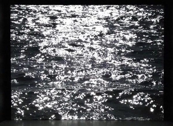 Alfredo Jaar, Yoko Ono