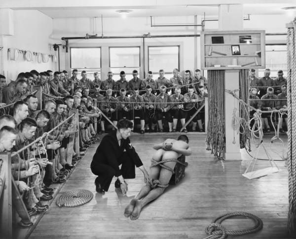 Aperture, Jane Hammond's Recominant DNA