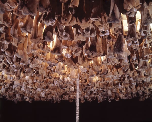 The Guardian, Living Dangerously