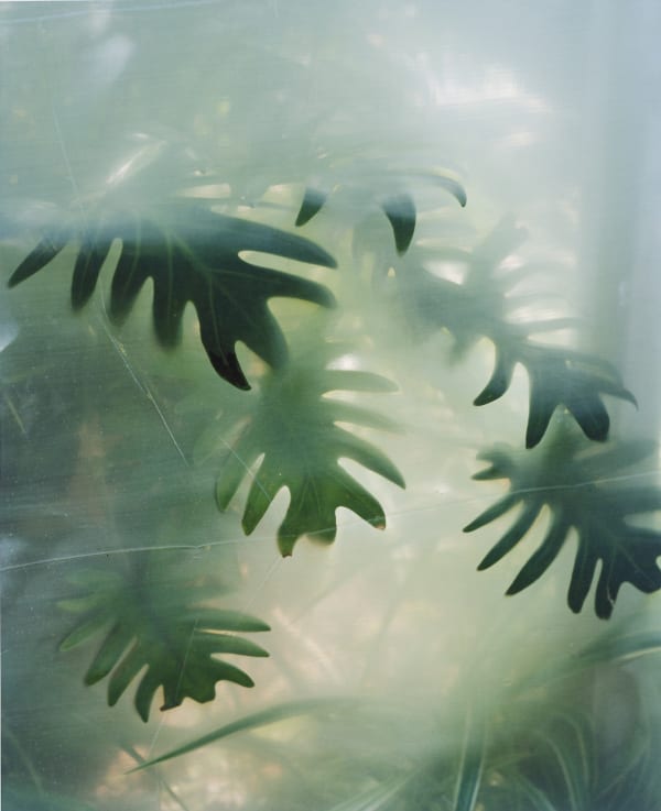Thomas Block Humery: Memoranda, 24 February – 23 March 2023