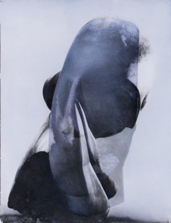ZHANG YUNYAO AT MUSEE FENAILLE, 12 June – 17 October 2021