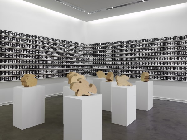Allan McCollum The Shapes Project & Natural Copies from the Coal Mines of Central Utah