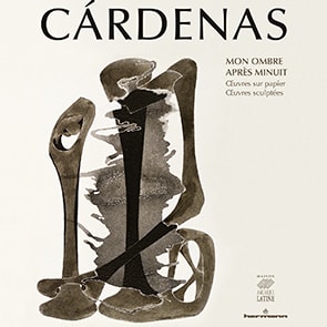 AGUSTíN CÁRDENAS - MON OMBRE APRÈS MINUIT - MAISON DE L'AMÉRIQUE LATINE, PARIS, FRANCE