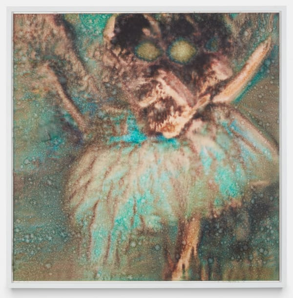 Antoine Renard, Untitled (crypted dancer #02), 2022