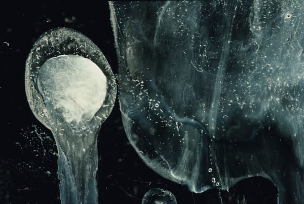 Andres Serrano, Frozen Sperm II (Bodily Fluids), 1990