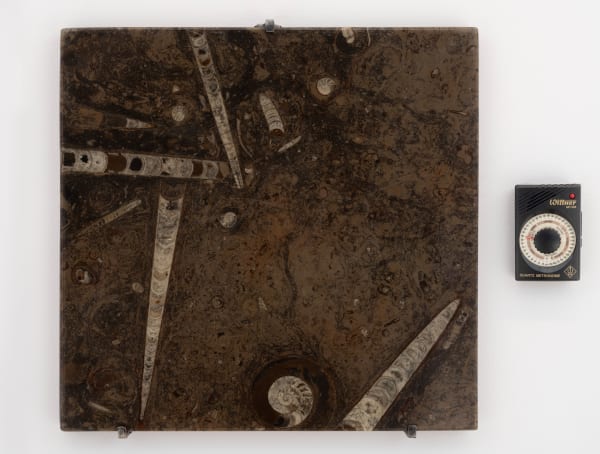 Sarkis, 2017.02 150 millions d'années, 2017-2025