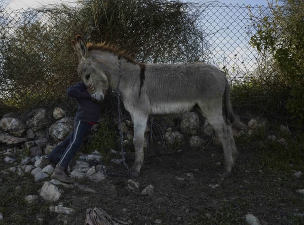 Luc Delahaye , Sumud, 2017