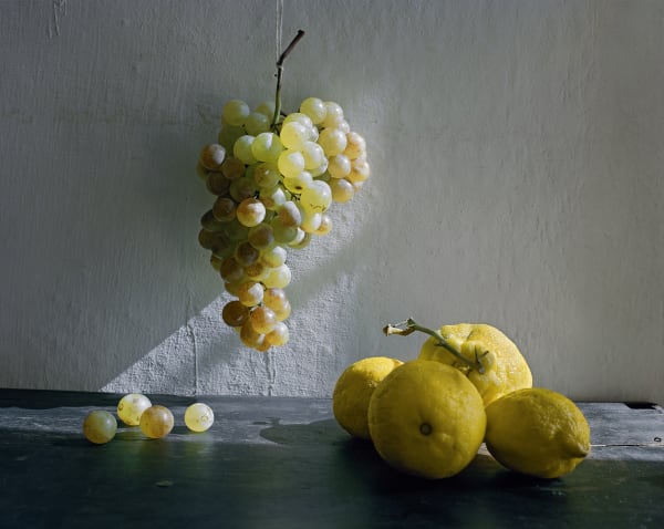 Patrick Faigenbaum, Composition autour d’une grappe de raisin, Santulussurgiu, 2019