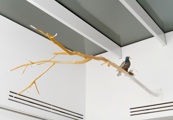 Laure Prouvost, Go Left Hybrid Branch, 2024