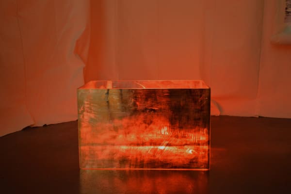 Edgar Arceneaux, Goodnight Dream, 2016