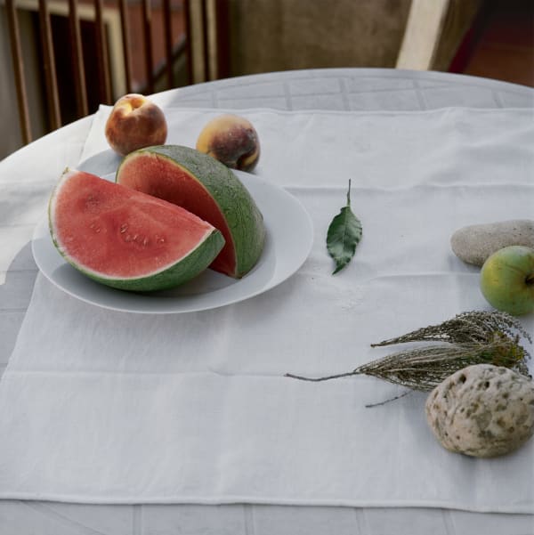 Patrick Faigenbaum, Nature morte avec pastèque, feuille de laurier, hélichryse et pierre à feu, 2019