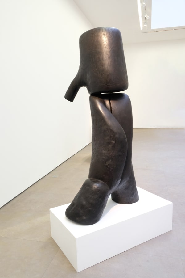 Wang Keping, Bois aussi, 2006