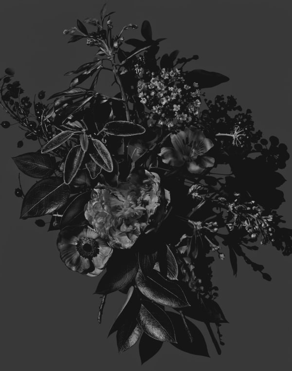 Valérie Belin , Sans titre (Série Bouquets), 2008