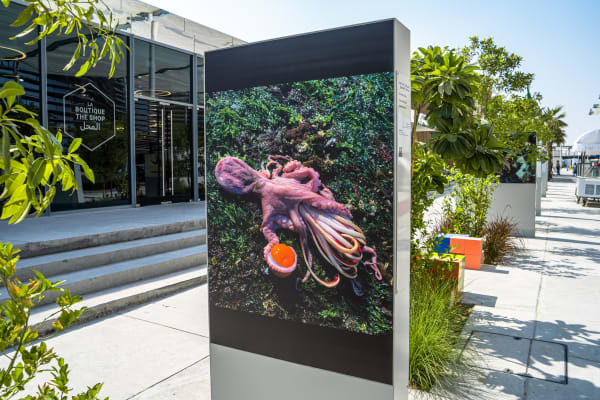 Laure Prouvost in Autres Habitants by Fondation Art Explora