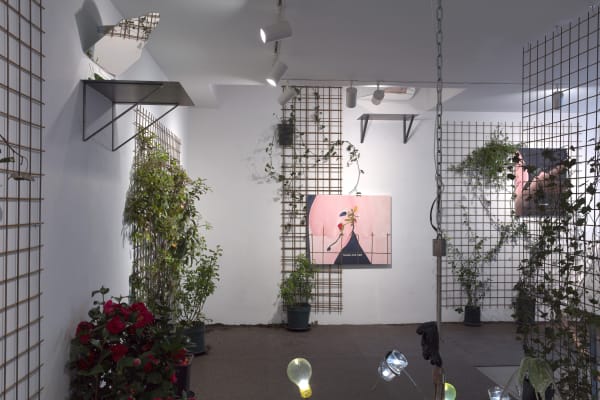 Laure Prouvost Reaching hi her grounds from the rub he she we grow