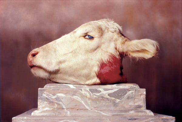 Andres Serrano, Cabeza De Vaca (Early Works) 1984