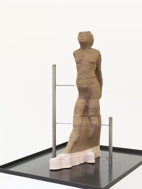 Antoine Renard, Impressions, après Degas (#014), 2019