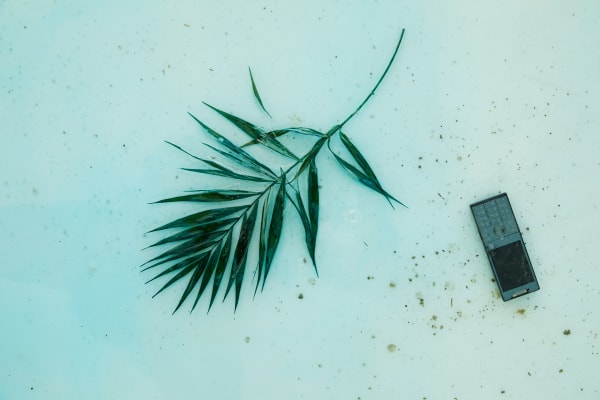 Across the River with Her, 2021, film installation, resin, glass, found objects. Courtesy of the artist and Kistefos Museum. Photo/...