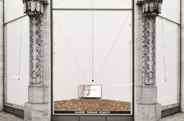 SPLAY ANTHEM ALEXEY VANUSHKIN