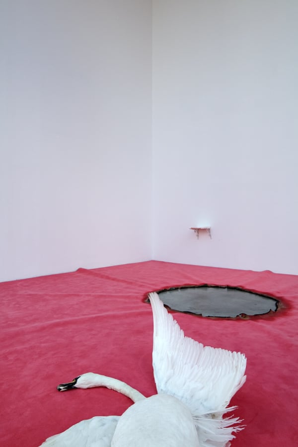 Inquire about works in Eighteen Exhibitions: Teil 12. Was nennt sich Kunst, was heisst uns wahrsein?