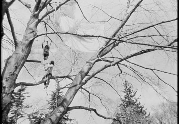 Inquire about the exhibition