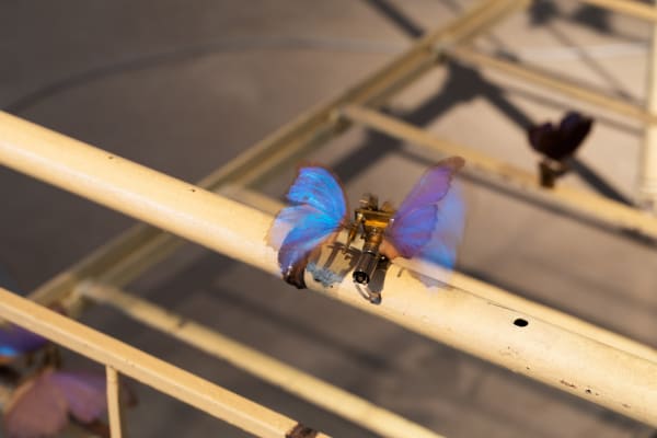 Inquire about the exhibition