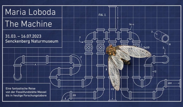 Invitation to Maria Loboda's Exhibition at Senckenberg Museum