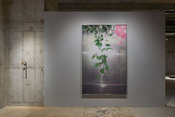 David Hartt / Salon Hannam, Seoul, South Korea
