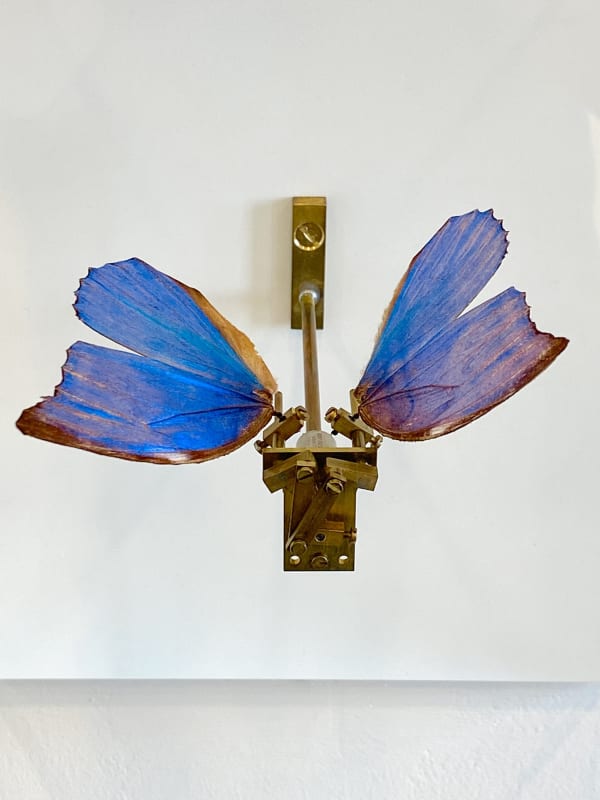 Rebecca Horn / Sammlung Philara, Düsseldorf, Germany