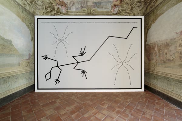 HAMISH FULTON / Fondazione Morra Greco, Naples, Italy