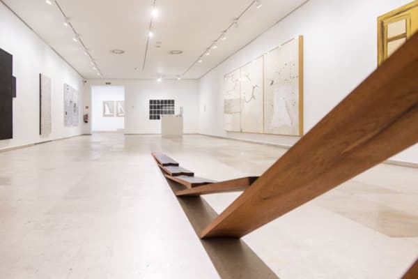 Angela de la Cruz, Juan Uslé / Museum of modern spanish art Patio Herreriano, Valladolid, Spain