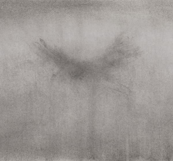 Guy Oberson - Vol du milan et onde 1-13, 2022