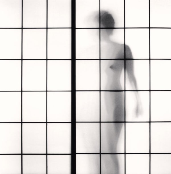 Michael Kenna, Ayako Study 3, 2010