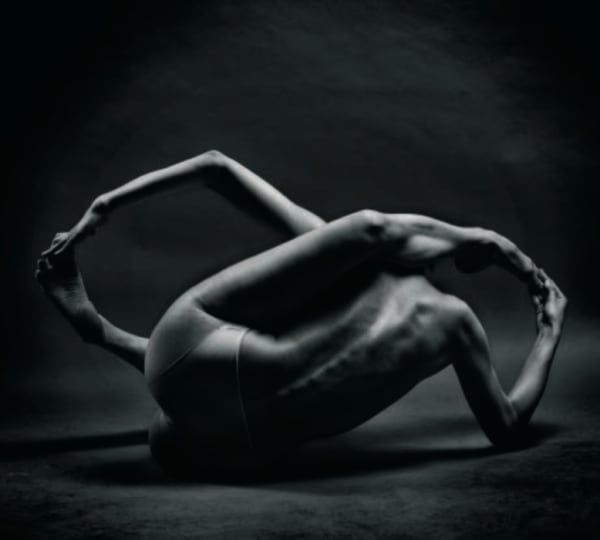 Almin Zrno Apologia of Eros