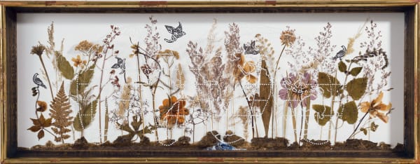 MURAT MOROVA, İSİMSİZ, 2013