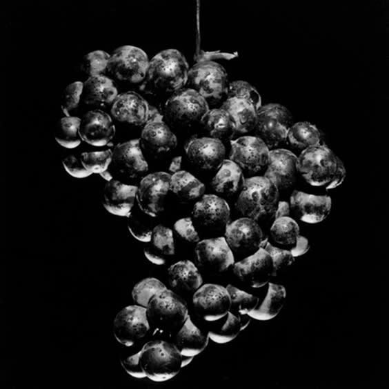 ROBERT MAPPLETHORPE, Grapes, 1985