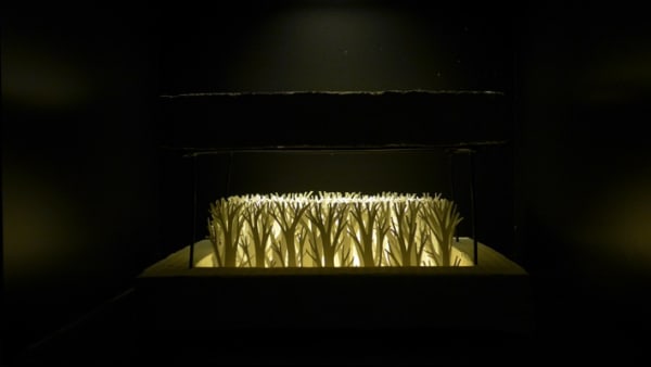 NERMİN ER, İSİMSİZ NO:18, 2015