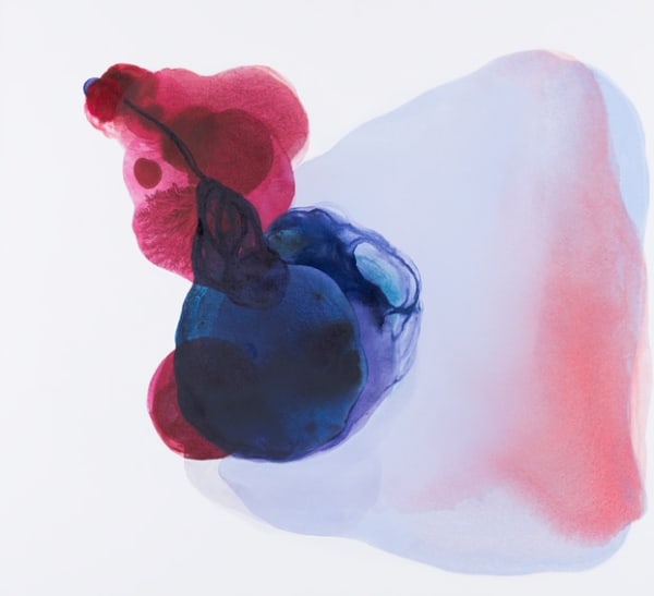 MELEK MAZICI, Wistaria, 2016