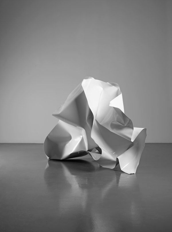 SEYHUN TOPUZ, Crumpled Paper VI, 2017