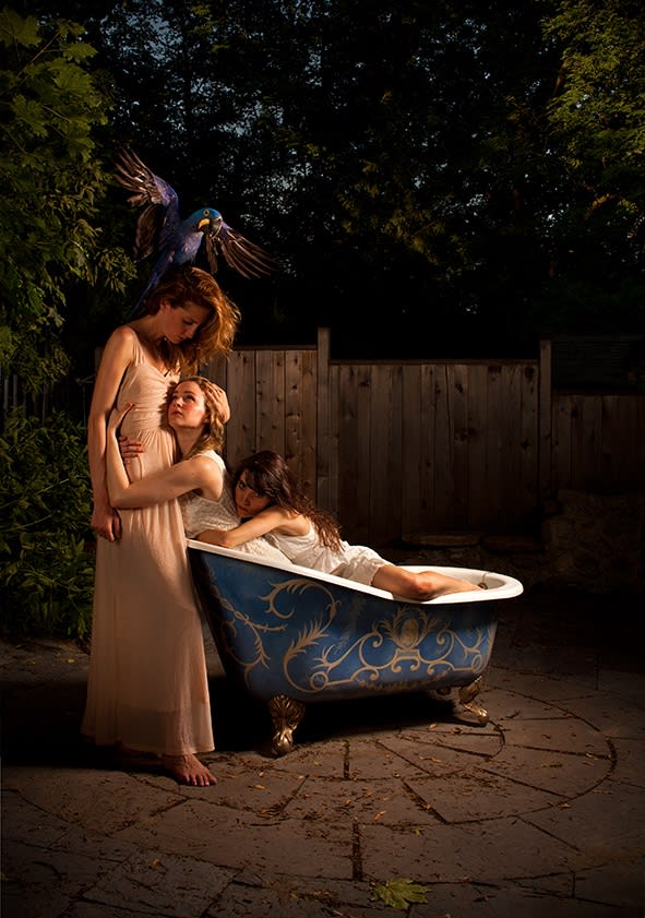 NAZİF TOPCUOĞLU, Norwegian Blue/Wood, 2012