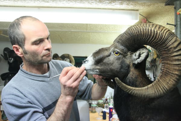 ALİ KAZMA, Taxidermist (Obstructions Series), 2010