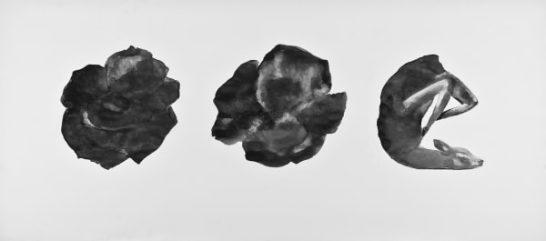 SEVİNÇ ALTAN, Midzone- Shadow Series, 2010