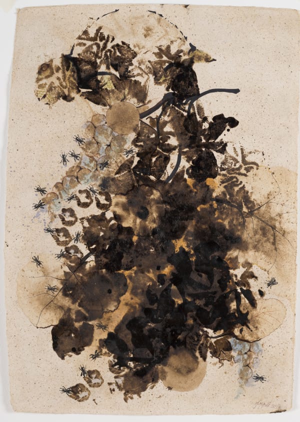 MURAT MOROVA, İSİMSİZ, 2013