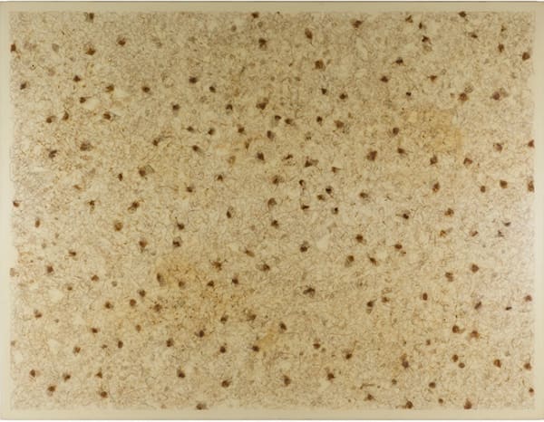 TAYFUN ERDOĞMUŞ, Natura IV, 2015