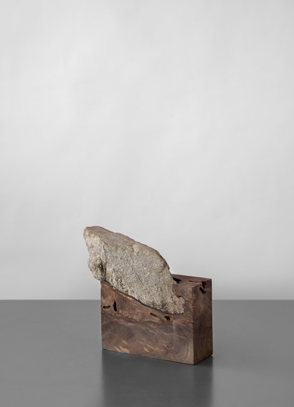 AHMET DOĞU İPEK, Root 6, 2019