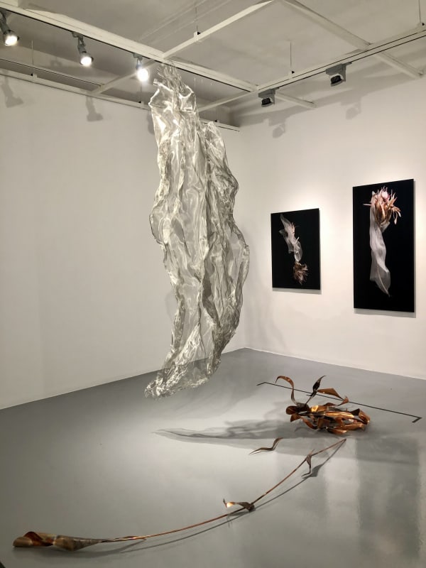 ANİ ÇELİK AREVYAN, Protea, 2022